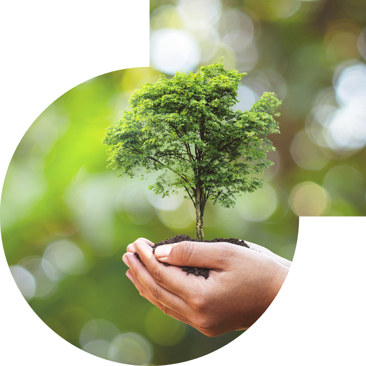 关怀人类、文化、环境与社会